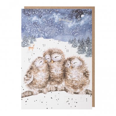 Owl advent calendar