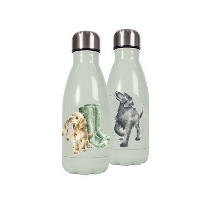 Labrador dog small water bottle