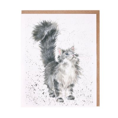 Fluffy grey cat greeting card