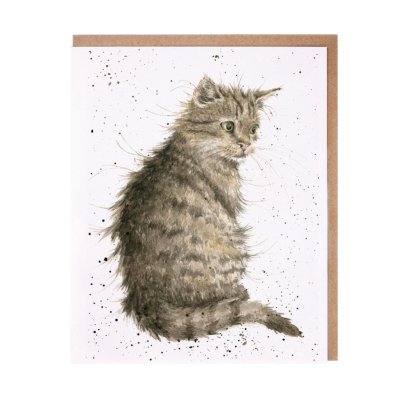 Cat greeting card
