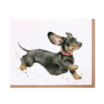 Black and Tan dachshund with a red collar greeting card