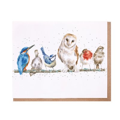 Kingfisher, blue tit, owl, robin and sparrow on a branch greeting card