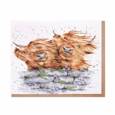 Highland cows looking over a stoney wall in the wind greeting card