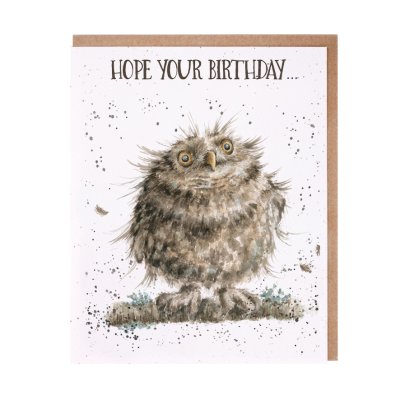 Owl on a branch birthday card