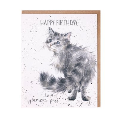Grey fluffy cat birthday cat