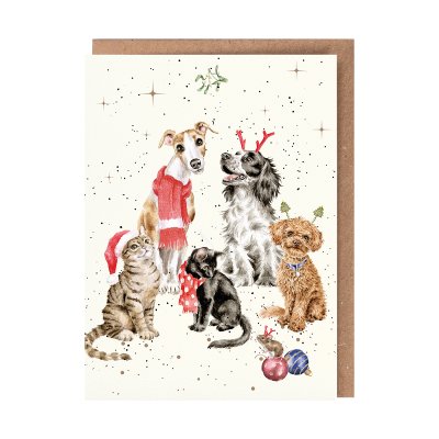Festive dogs and cats illustrated Christmas card
