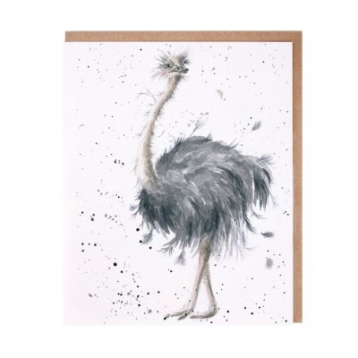 Ostrich greeting card