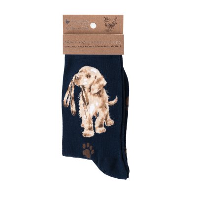 Labrador dog socks